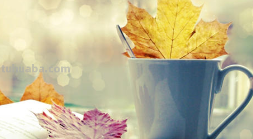 差之毫厘,谬以千里是什么意思?