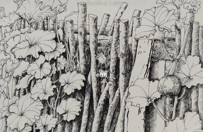 南瓜架速写 南瓜架一般要多高？