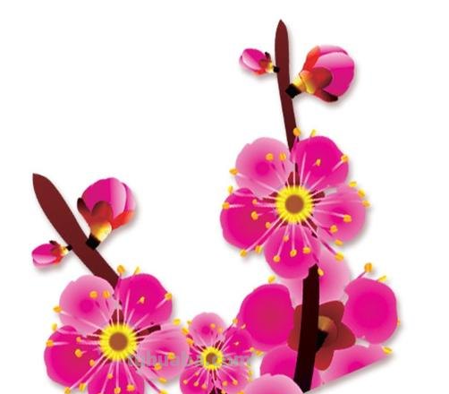 梅花色彩及梅花色彩构成 