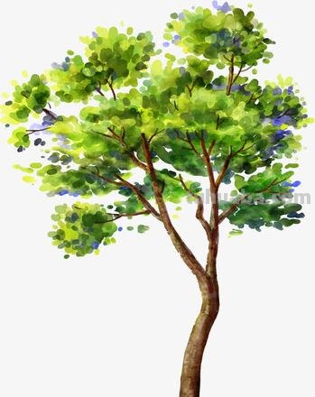 绿色彩绘：让你的创意更加生动 