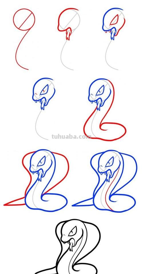 蛇怎么画简笔画步骤 蛇的简单画法？