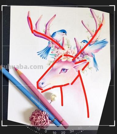 鹿色彩画：探秘鹿的神秘色彩与美丽绘画 