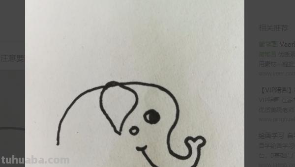 大象简笔画彩色怎么画 3~6岁儿童画大象过程？