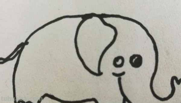 大象简笔画彩色怎么画 3~6岁儿童画大象过程？