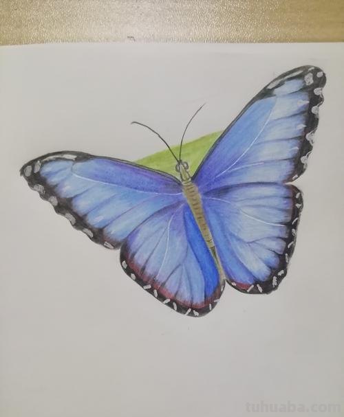 【蓝色彩铅画，如何让你的画作更加出众？】涂画吧小编了解到，蓝色彩铅画是一种非常有趣的绘画方式，很多人都对它情有独钟。在这种画法中，蓝色彩铅往往被用作画作的基调，用来表现出深邃、清澈的感觉，同时也可以让画作更加出众。那么，如何让你的蓝色彩铅画更加出众呢？ 