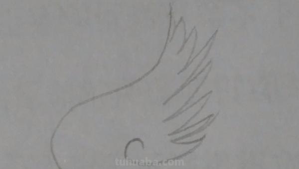 翅膀怎么画好看简笔画 翅膀，简笔画，步骤教程？