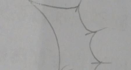 翅膀怎么画好看简笔画 翅膀，简笔画，步骤教程？