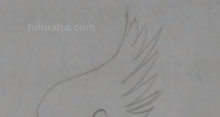 翅膀怎么画好看简笔画 翅膀，简笔画，步骤教程？
