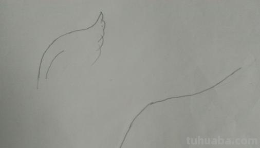 翅膀怎么画好看简笔画 翅膀，简笔画，步骤教程？