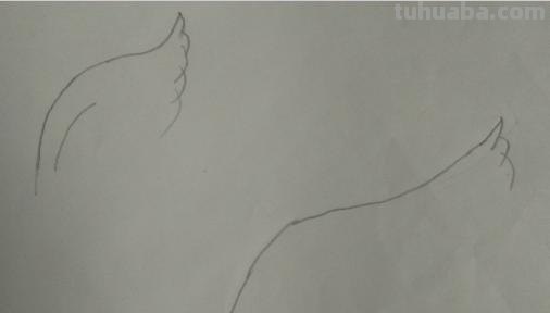 翅膀怎么画好看简笔画 翅膀，简笔画，步骤教程？