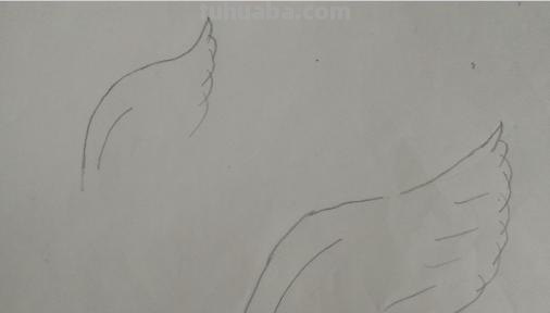 翅膀怎么画好看简笔画 翅膀，简笔画，步骤教程？