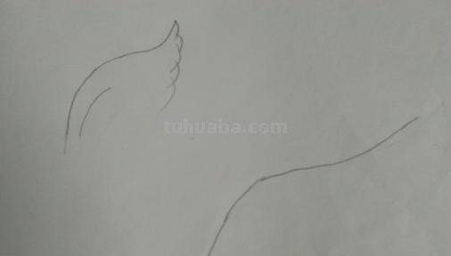 翅膀怎么画好看简笔画 翅膀，简笔画，步骤教程？