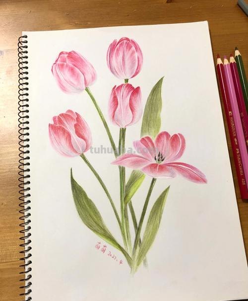 水性彩铅可以怎么画 水溶性彩铅怎样作画？