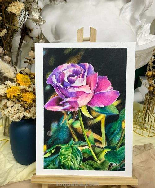 水性彩铅可以怎么画 水溶性彩铅怎样作画？