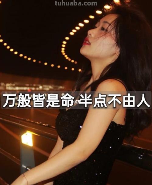 万般皆是命 半点不由人意思 万般皆是命半点不由人意思是什么