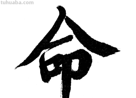 万般皆是命,半点不由人是什么意思呢?