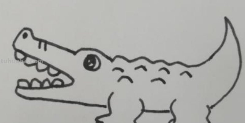 小鳄鱼怎么画简笔画 如何画鳄鱼又帅又霸气？