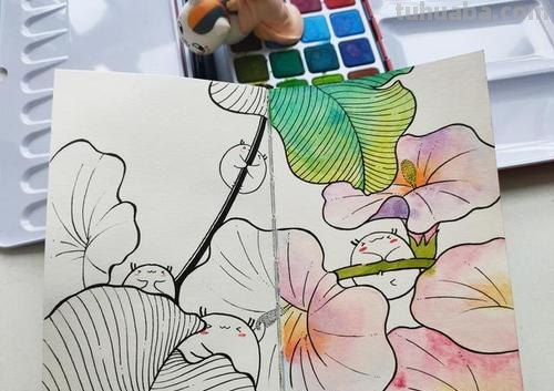 58张高颜值水彩线描装饰画!附带详细教程,让你从小白逆袭成大神
