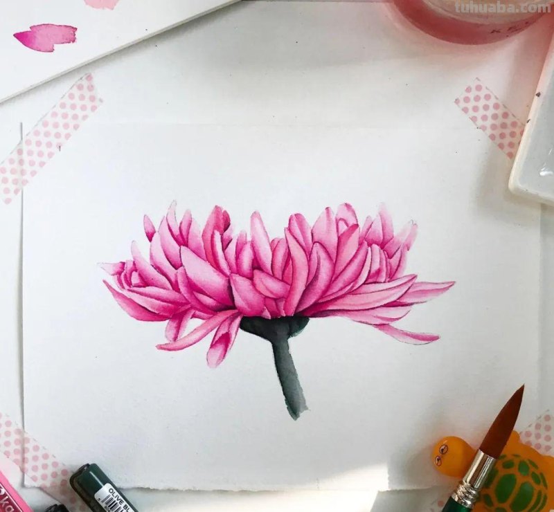 58张高颜值水彩线描装饰画！附带详细教程，让你从小白逆袭成大神