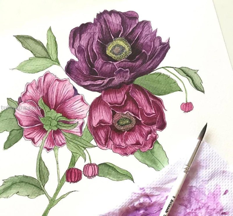 58张高颜值水彩线描装饰画！附带详细教程，让你从小白逆袭成大神
