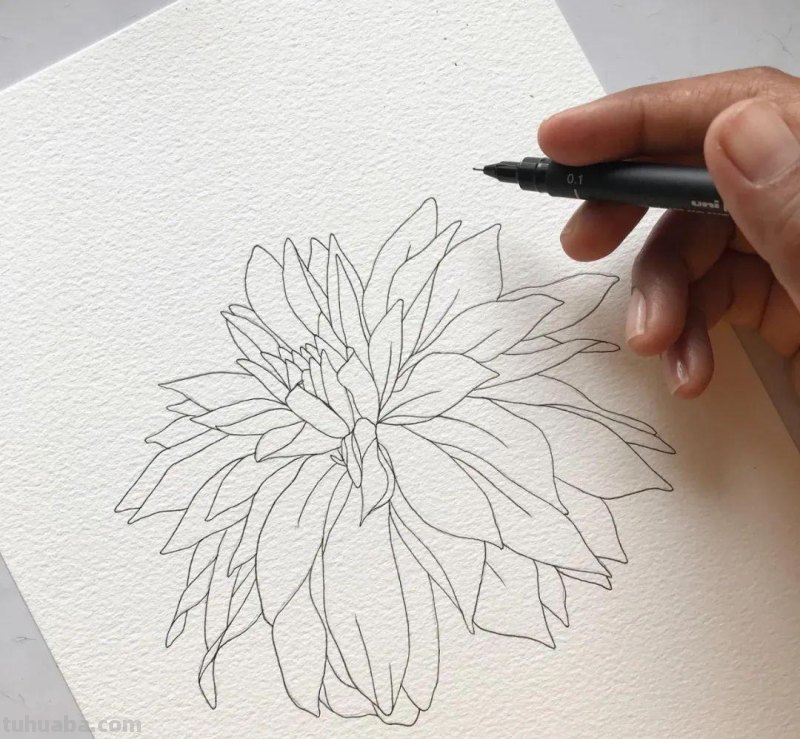 58张高颜值水彩线描装饰画！附带详细教程，让你从小白逆袭成大神