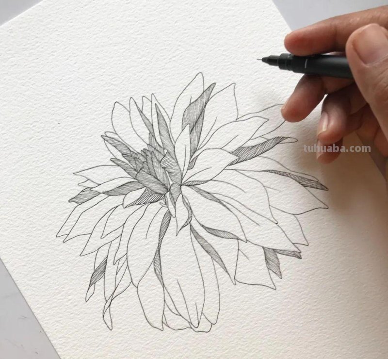 58张高颜值水彩线描装饰画！附带详细教程，让你从小白逆袭成大神