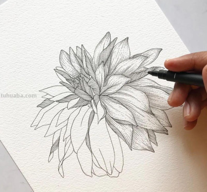 58张高颜值水彩线描装饰画！附带详细教程，让你从小白逆袭成大神