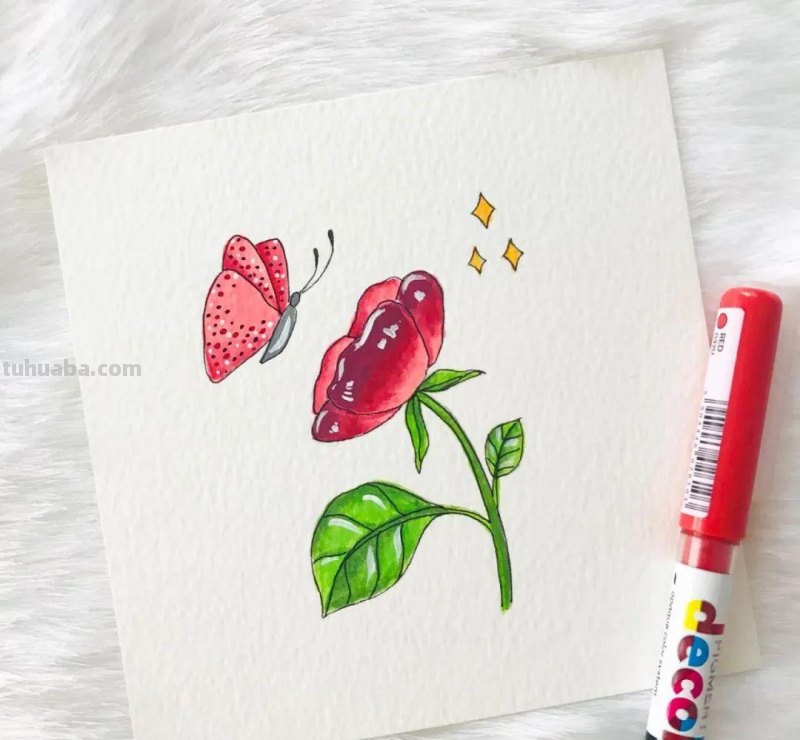 58张高颜值水彩线描装饰画！附带详细教程，让你从小白逆袭成大神