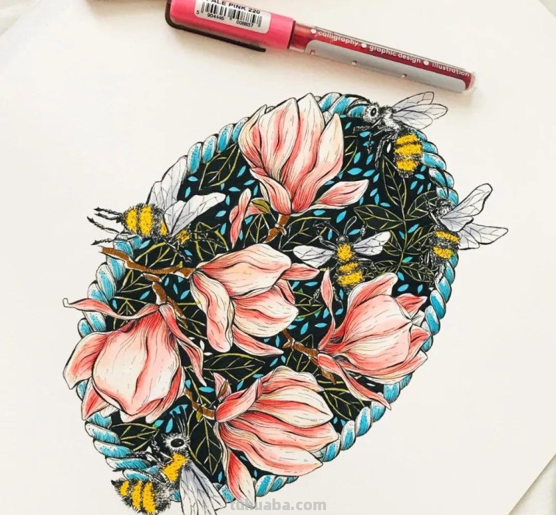 58张高颜值水彩线描装饰画！附带详细教程，让你从小白逆袭成大神