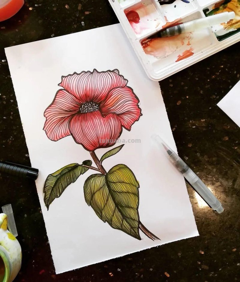 58张高颜值水彩线描装饰画！附带详细教程，让你从小白逆袭成大神