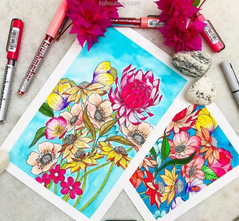 58张高颜值水彩线描装饰画！附带详细教程，让你从小白逆袭成大神