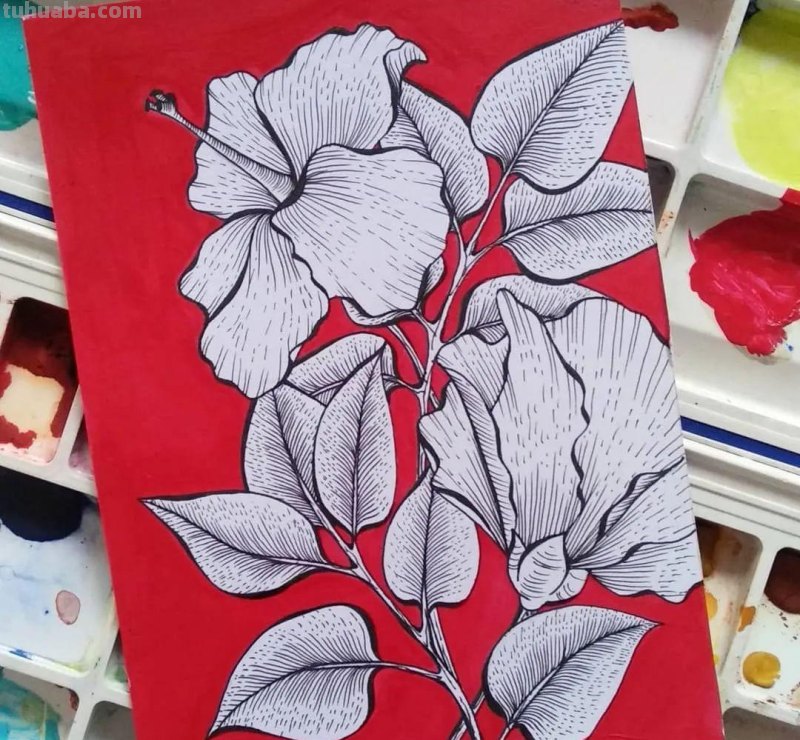 58张高颜值水彩线描装饰画！附带详细教程，让你从小白逆袭成大神