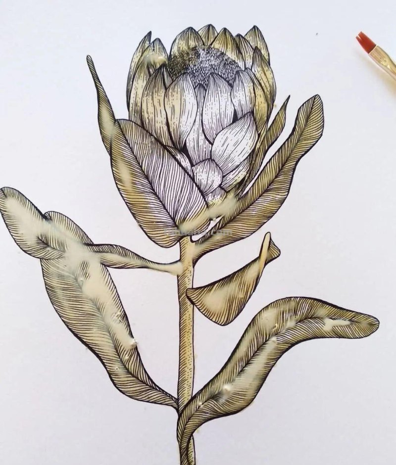 58张高颜值水彩线描装饰画！附带详细教程，让你从小白逆袭成大神