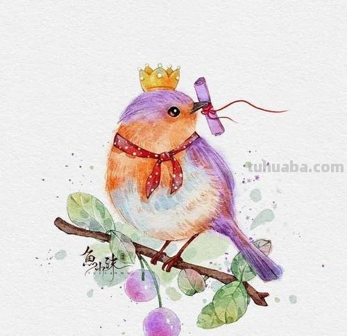 漂亮小清新水彩插画作品素材，收藏起来每天练习一副