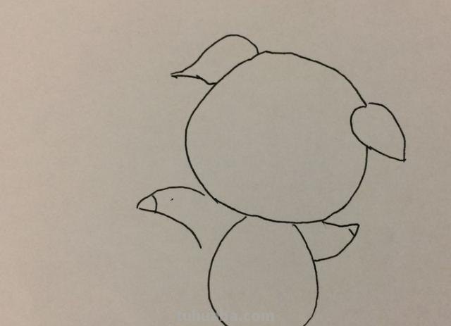 小猪的简笔画怎么画 简笔画画小猪怎么画？