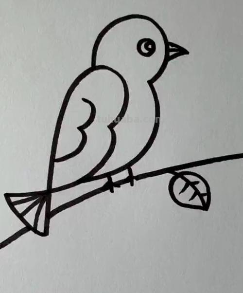 怎么画小鸟简笔画步骤 如何画简易的小鸟？