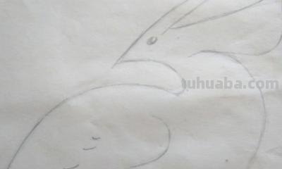 怎么画小鸟简笔画步骤 如何画简易的小鸟？