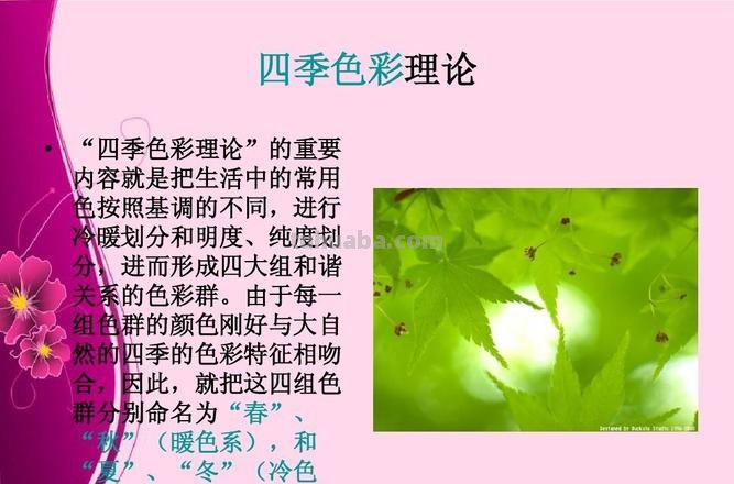 揭秘色彩四季理论及其创始人,让你的绘画更加生动有趣!