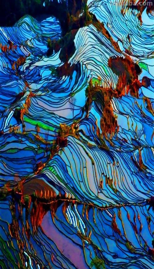 生命的色彩：一幅绚烂的画卷 