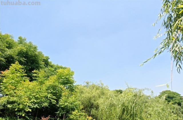 夏天风景那么美，你拍出来了吗，新手用这6个摄影技巧拍美夏天