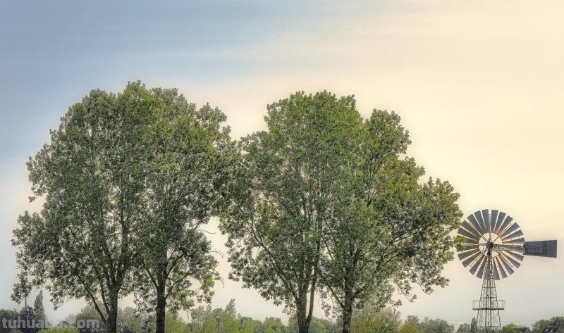 夏天风景那么美，你拍出来了吗，新手用这6个摄影技巧拍美夏天