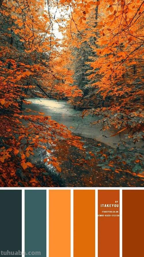 秋天的色彩：金黄、红色、橙色、棕色、深紫色…… 
