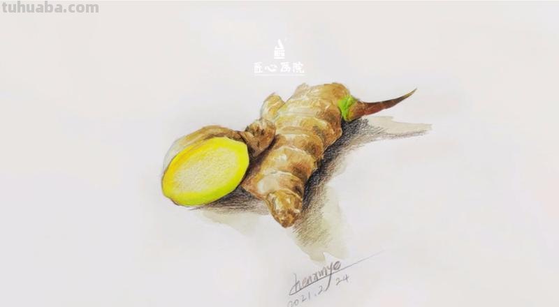 生姜用彩铅怎么画 彩铅素描教程？