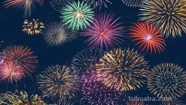 什么花不能摸脑筋急转弯 什么花不能摸脑筋急转弯