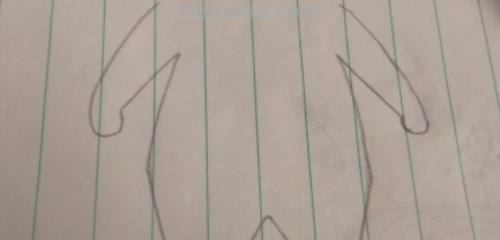 熊二怎么画简笔画 画小熊的简笔画？