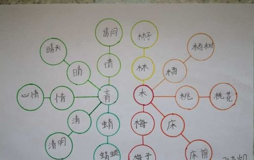 小字思维导图怎么画 小学思维导图怎么做？
