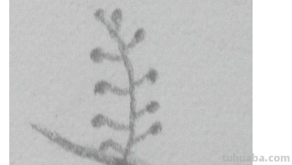 月明之夜怎么画彩铅 怎样用普通彩铅画星空？