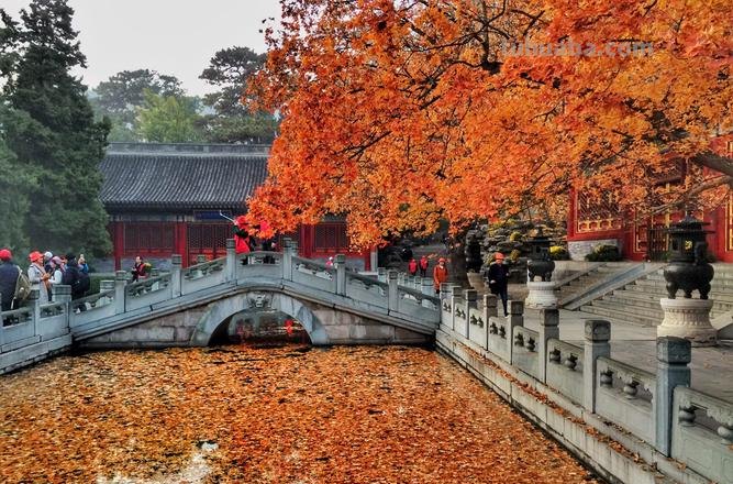 秋天的香山是最美的季节修改病句 秋天的香山是最美的季节修改病句怎么改