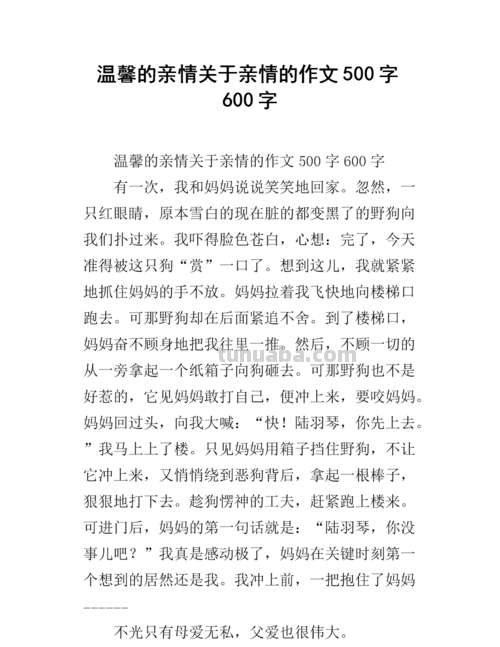 亲情的色彩及亲情的色彩作文600字 