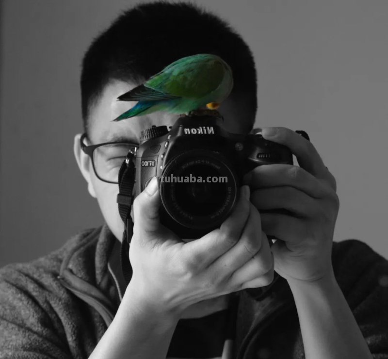 这位90后的新锐绘本作者，会画画、还会写歌、唱歌